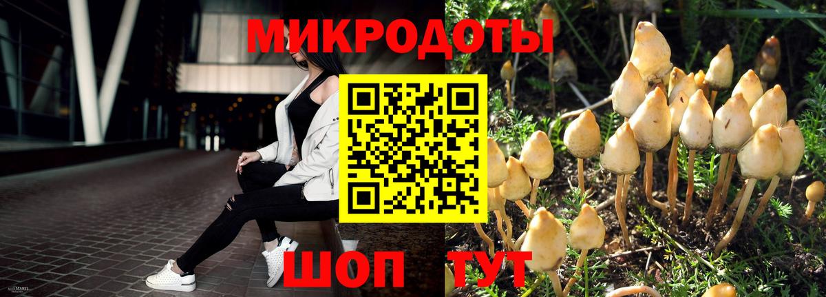 Псилоцибиновые грибы мухоморы  Вход с VPN  Ульяновск 